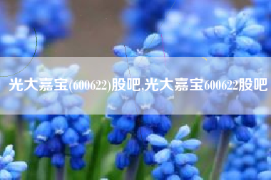 光大嘉宝(600622)股吧,光大嘉宝600622股吧