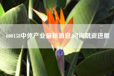 600158中体产业最新消息,问询融资进展