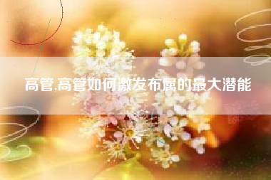 高管,高管如何激发布属的最大潜能