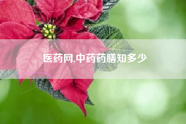 医药网,中药药膳知多少
