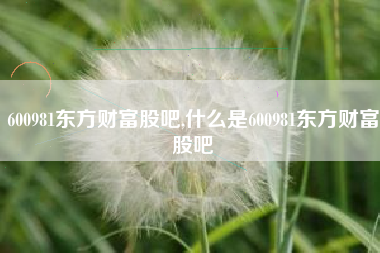 600981东方财富股吧,什么是600981东方财富股吧