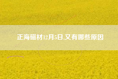 正海磁材12月5日,又有哪些原因