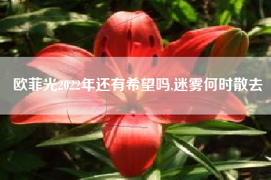 欧菲光2022年还有希望吗,迷雾何时散去