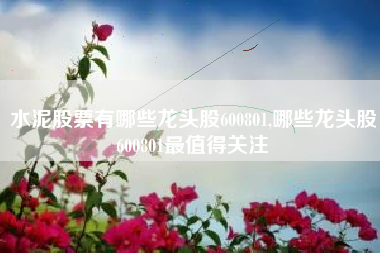 水泥股票有哪些龙头股600801,哪些龙头股600801最值得关注