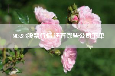 603283股票行情,还有哪些公司下单