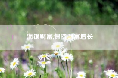 海银财富,保持财富增长