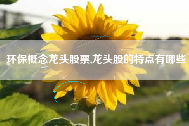 环保概念龙头股票,龙头股的特点有哪些