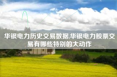 华银电力历史交易数据,华银电力股票交易有哪些特别的大动作