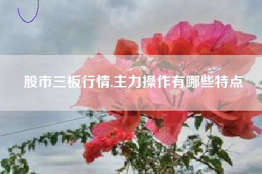 股市三板行情,主力操作有哪些特点