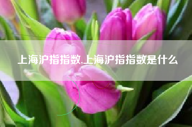 上海沪指指数,上海沪指指数是什么