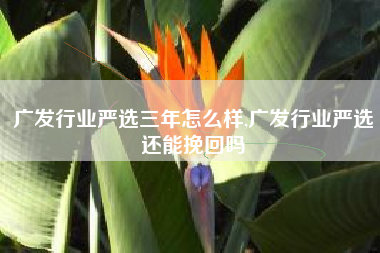 广发行业严选三年怎么样,广发行业严选还能挽回吗