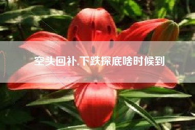 空头回补,下跌探底啥时候到