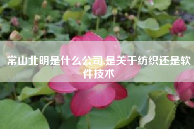 常山北明是什么公司,是关于纺织还是软件技术