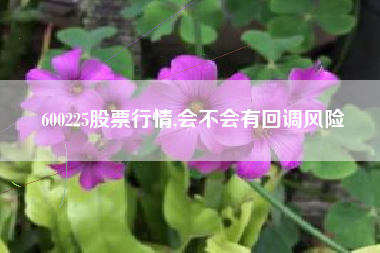600225股票行情,会不会有回调风险