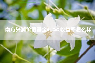 南方兴润价值基金011363,收益率怎么样