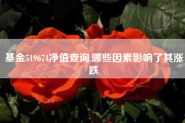 基金519674净值查询,哪些因素影响了其涨跌