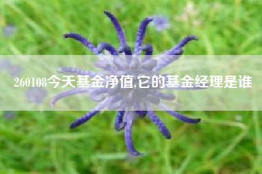 260108今天基金净值,它的基金经理是谁
