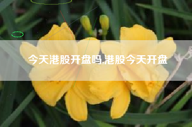 今天港股开盘吗,港股今天开盘