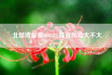 北部湾股票000582,投资风险大不大