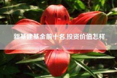 新基建基金前十名,投资价值怎样