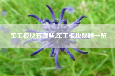 军工板块有哪些,军工板块秘籍一览