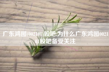 广东鸿图(002101)股吧,为什么广东鸿图002101股吧备受关注