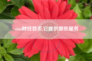 sina财经首页,它提供哪些服务