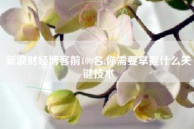新浪财经博客前100名,你需要掌握什么关键技术