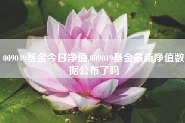 009049基金今日净值,009049基金最新净值数据公布了吗