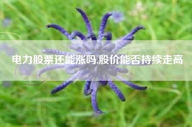 电力股票还能涨吗,股价能否持续走高