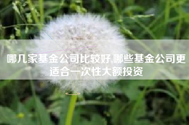 哪几家基金公司比较好,哪些基金公司更适合一次性大额投资