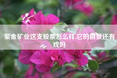 紫金矿业这支股票怎么样,它的前景还有戏吗