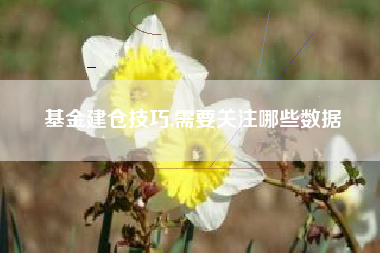基金建仓技巧,需要关注哪些数据