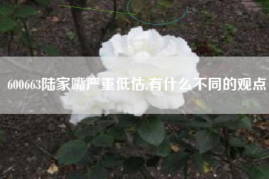 600663陆家嘴严重低估,有什么不同的观点