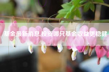基金最新消息,投资哪只基金收益更稳健