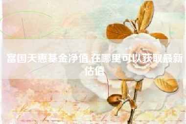 富国天惠基金净值,在哪里可以获取最新估值