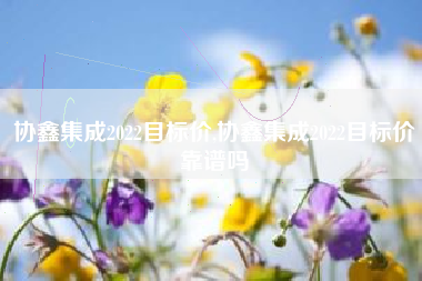 协鑫集成2022目标价,协鑫集成2022目标价靠谱吗