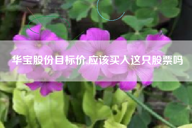 华宝股份目标价,应该买入这只股票吗