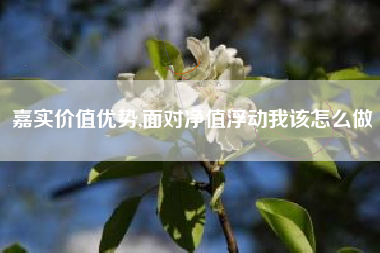 嘉实价值优势,面对净值浮动我该怎么做
