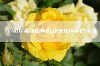 040005基金净值查询,我想知道实时净值