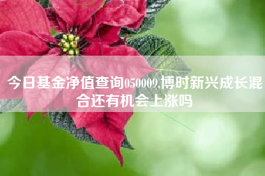 今日基金净值查询050009,博时新兴成长混合还有机会上涨吗
