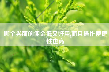哪个券商的佣金低又好用,而且操作便捷性也高