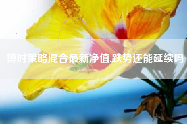 博时策略混合最新净值,跌势还能延续吗
