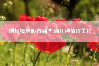 创投概念股有哪些,哪几种值得关注