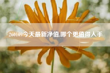 260109今天最新净值,哪个更值得入手