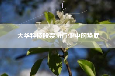 大华科技股票,AI行业中的垫底