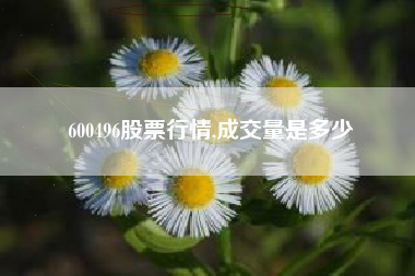 600496股票行情,成交量是多少