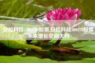 安控科技(300370)股票,安控科技300370股票未来增长空间大吗