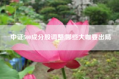中证500成分股调整,哪些大咖要出局