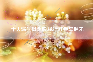 十大燃气概念股,稳操胜券掌握先
